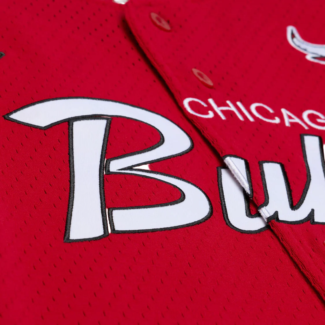 Chicago Bulls Mitchell & Ness Head Coach Baseball Jersey
