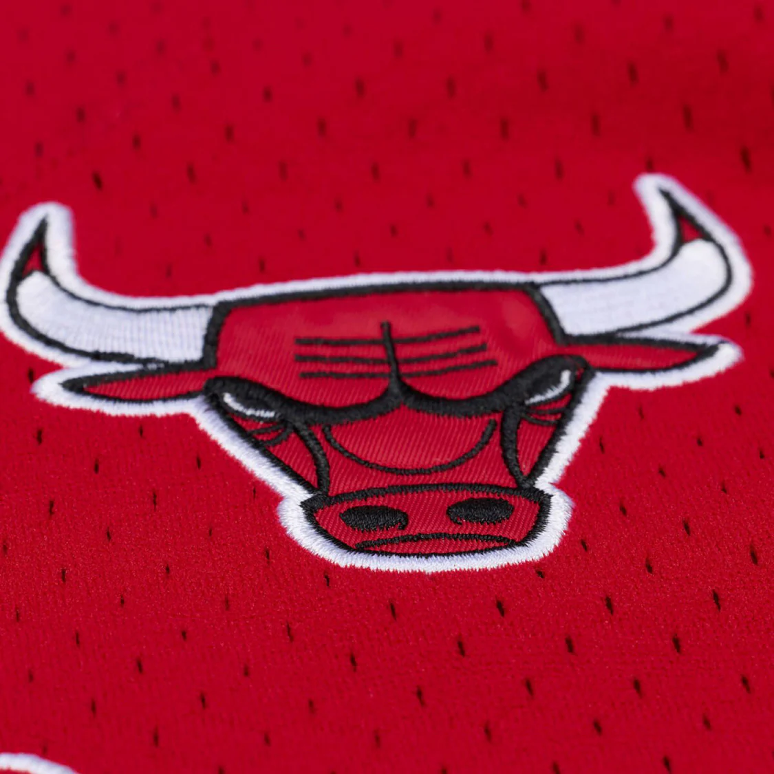Chicago Bulls Mitchell & Ness Head Coach Baseball Jersey