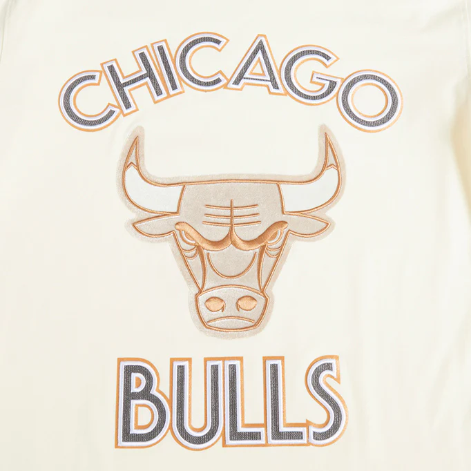 2025-2024-25-chicago-bulls-city-edition-pro-standard-multi-logo-off-white-t-shirt-6.webp 2024-25 Chicago Bulls City Edition Pro Standard Multi-Logo Off-White T-Shirt