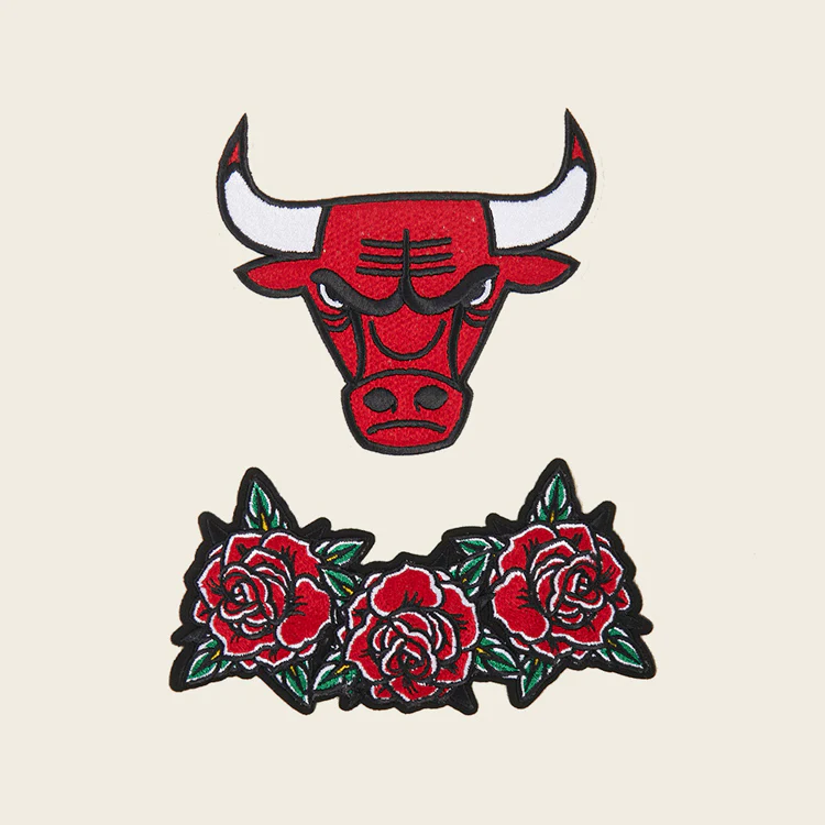 Chicago Bulls Pro Standard Fire And Roses Hooded Sweatshirt