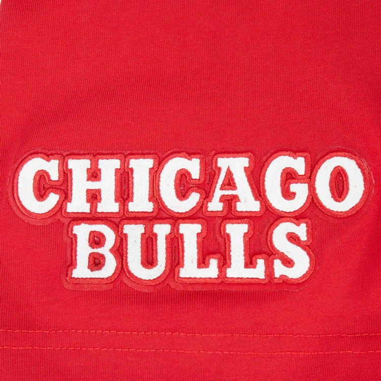 Chicago Bulls Pro Standard Fire And Roses T-Shirt